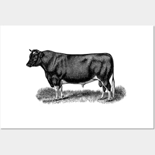 Black Bull Illustration Posters and Art